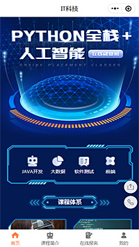 IT科技程序员python前端开发