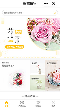 鲜花植物原创公司b2b2c小程序模板