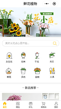 绿植盆栽-花卉绿植盆栽-室内盆栽小程序模板