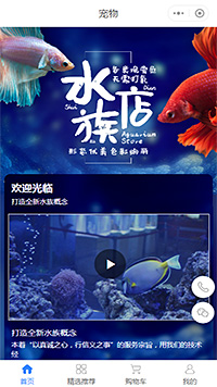 水族宠物小程序模板【水族宠物微信小程序模板】