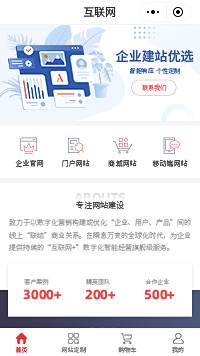 网站定制公司_高端网站定制开发公司小程序商城模板